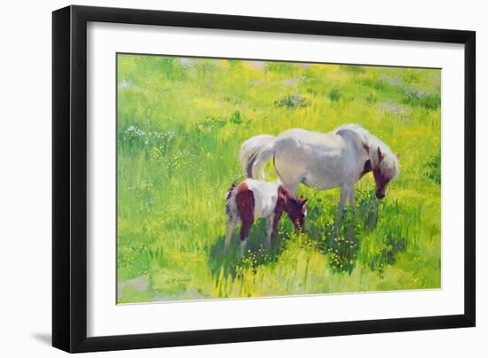 Piebald horse and foal-William Ireland-Framed Giclee Print