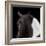 Piebald-Ray Hartl-Framed Giclee Print