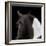 Piebald-Ray Hartl-Framed Giclee Print