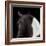 Piebald-Ray Hartl-Framed Giclee Print