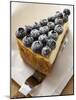 Piece of Blueberry Cheesecake-null-Mounted Photographic Print