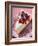 Piece of Cheesecake with Raspberries and Cream-null-Framed Photographic Print