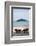 Piece of Furniture, Sunshade, Beach Bar, Thailand, Beach-Andrea Haase-Framed Photographic Print