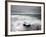 Piece of Glacial Ice Washed Ashore By the Incoming Tide Near Glacial Lagoon at Jokulsarlon, Iceland-Lee Frost-Framed Photographic Print