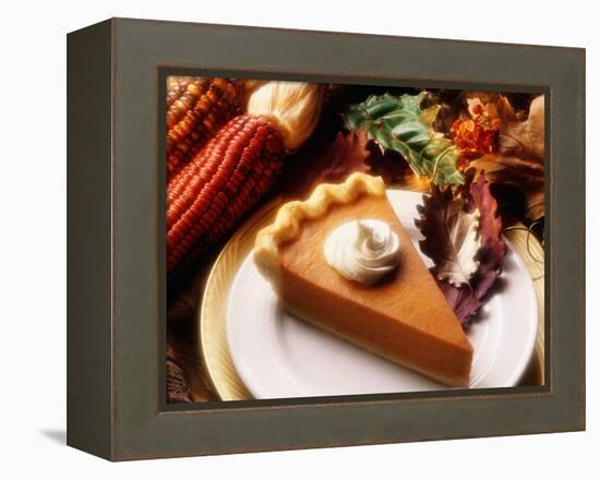 Piece of Pumpkin Pie-Tracey Thompson-Framed Premier Image Canvas