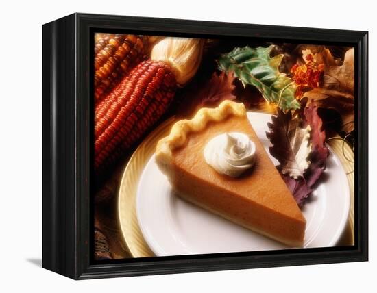 Piece of Pumpkin Pie-Tracey Thompson-Framed Premier Image Canvas