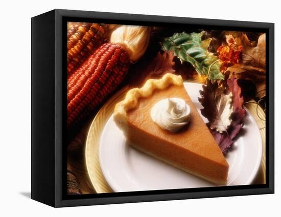 Piece of Pumpkin Pie-Tracey Thompson-Framed Premier Image Canvas