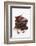 Pieces of Chocolate with Red Chillies-Marc O^ Finley-Framed Photographic Print