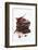 Pieces of Chocolate with Red Chillies-Marc O^ Finley-Framed Photographic Print