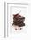Pieces of Chocolate with Red Chillies-Marc O^ Finley-Framed Photographic Print
