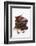 Pieces of Chocolate with Red Chillies-Marc O^ Finley-Framed Photographic Print