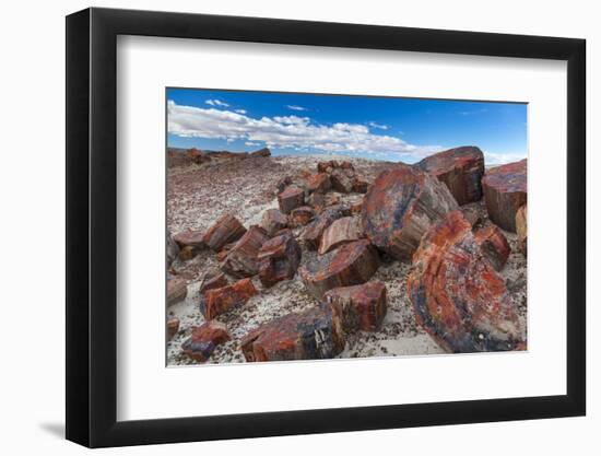 Pieces of Petrified Trees - Wood, Petrified Forest National Park, Arizona, USA, February 2015-Juan Carlos Munoz-Framed Photographic Print