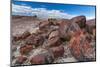 Pieces of Petrified Trees - Wood, Petrified Forest National Park, Arizona, USA, February 2015-Juan Carlos Munoz-Mounted Photographic Print