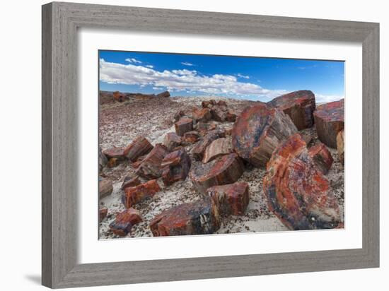 Pieces of Petrified Trees - Wood, Petrified Forest National Park, Arizona, USA, February 2015-Juan Carlos Munoz-Framed Photographic Print