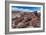 Pieces of Petrified Trees - Wood, Petrified Forest National Park, Arizona, USA, February 2015-Juan Carlos Munoz-Framed Photographic Print