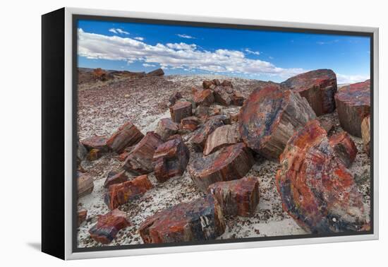 Pieces of Petrified Trees - Wood, Petrified Forest National Park, Arizona, USA, February 2015-Juan Carlos Munoz-Framed Premier Image Canvas