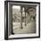 Piedmont IV-Alan Blaustein-Framed Photographic Print