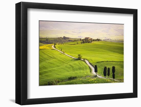 Pienza, Val d'Orcia, Tuscany-Francesco Riccardo Iacomino-Framed Photographic Print