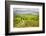 Pienza, Val d'Orcia, Tuscany-Francesco Riccardo Iacomino-Framed Photographic Print