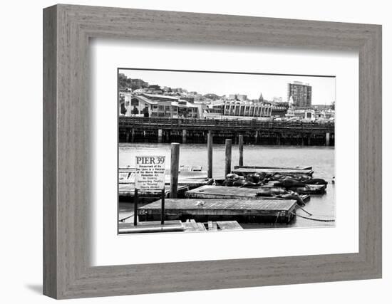 Pier 39 - Fisherman's Wharf - San Francisco - Californie - United States-Philippe Hugonnard-Framed Photographic Print