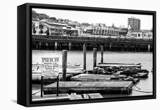 Pier 39 - Fisherman's Wharf - San Francisco - Californie - United States-Philippe Hugonnard-Framed Premier Image Canvas