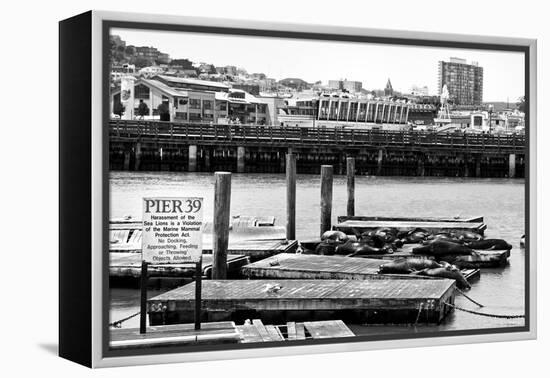 Pier 39 - Fisherman's Wharf - San Francisco - Californie - United States-Philippe Hugonnard-Framed Premier Image Canvas