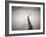 Pier 5-Doug Chinnery-Framed Photographic Print