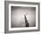 Pier 5-Doug Chinnery-Framed Photographic Print