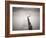 Pier 5-Doug Chinnery-Framed Photographic Print