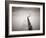 Pier 5-Doug Chinnery-Framed Photographic Print