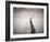 Pier 5-Doug Chinnery-Framed Photographic Print