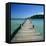 Pier and Bay, Plage De Santa Giulia, South East Corsica, Corsica, France, Mediterranean, Europe-Stuart Black-Framed Premier Image Canvas