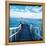 Pier and Dolphins-Colin Anderson-Framed Premier Image Canvas