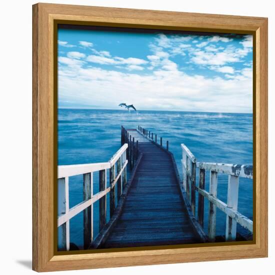 Pier and Dolphins-Colin Anderson-Framed Premier Image Canvas