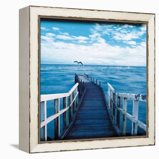 Pier and Dolphins-Colin Anderson-Framed Premier Image Canvas