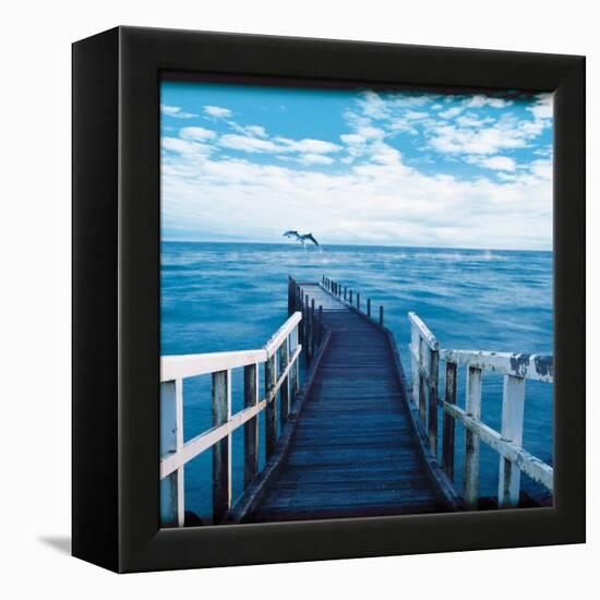 Pier and Dolphins-Colin Anderson-Framed Premier Image Canvas