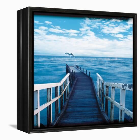 Pier and Dolphins-Colin Anderson-Framed Premier Image Canvas