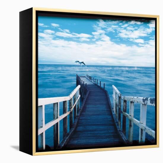 Pier and Dolphins-Colin Anderson-Framed Premier Image Canvas