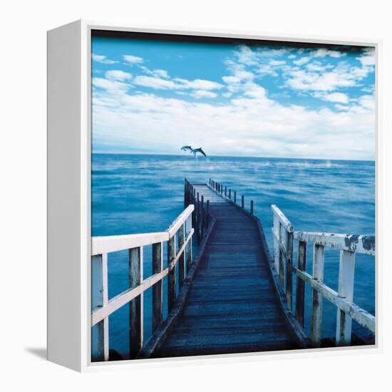 Pier and Dolphins-Colin Anderson-Framed Premier Image Canvas