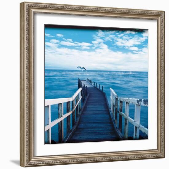 Pier and Dolphins-Colin Anderson-Framed Photographic Print