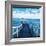 Pier and Dolphins-Colin Anderson-Framed Photographic Print