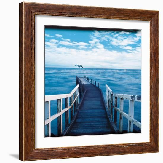 Pier and Dolphins-Colin Anderson-Framed Photographic Print