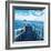 Pier and Dolphins-Colin Anderson-Framed Photographic Print