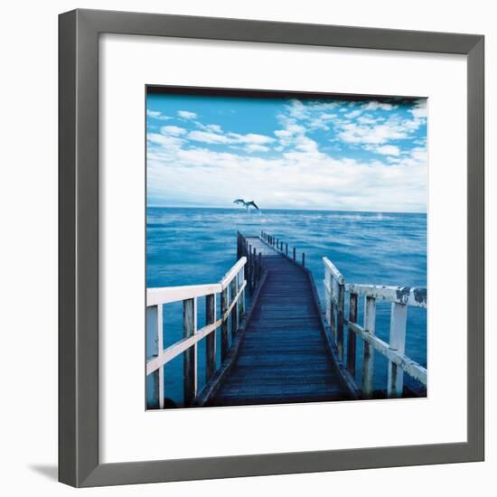 Pier and Dolphins-Colin Anderson-Framed Photographic Print