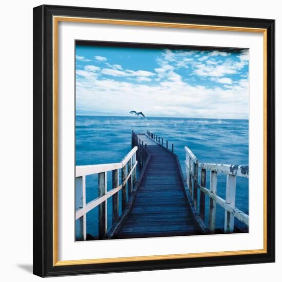 Pier and Dolphins-Colin Anderson-Framed Photographic Print