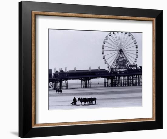 Pier and Donkey Rides, Blackpool, England-Walter Bibikow-Framed Photographic Print