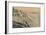 'Pier and Sands from Dudley Chine (Boscombe Pier in distance)', 1929-Unknown-Framed Giclee Print