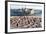 Pier at Sellin and Beach Baskets, Rygen Island, Baltic Coast, Germany-Peter Adams-Framed Photographic Print