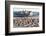 Pier at Sellin and Beach Baskets, Rygen Island, Baltic Coast, Germany-Peter Adams-Framed Photographic Print