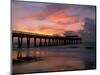 Pier at Sunrise with Reflections of Clouds on Beach, Tybee Island, Georgia, USA-Joanne Wells-Mounted Photographic Print